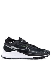 Nike Pegasus Trail 4 Goretex