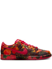Nikee sb dunk low the wizard of oz poppy field