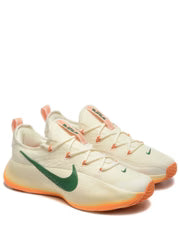 Nikee Lebron TR1 Honors Famu 909 - 3