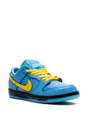 Nikee SB Dunk Low Pro X Powerpuff Bubbles 864 - 2