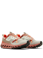 On CloudMonster Running Fog Mahogany 630 - 2