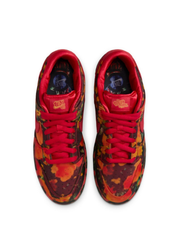 Nikee sb dunk low the wizard of oz poppy field