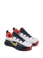 Nik_e LeBron ROYALTY TR 1 TEAM USA fix
