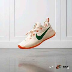 Nikee honors famu lebron tr1