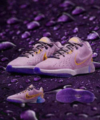 nikee Lebron 21 PURPLE Rain