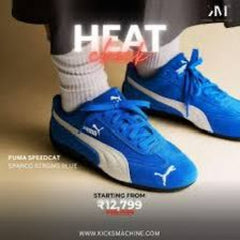 A speedcat og team royal white