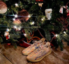 Adiddas Yeezy Boost 350 V2 MX Oat no kit
