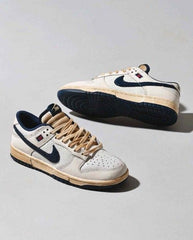 THE STRANGER THINGS X NIK SB DUNK LOW phantom
