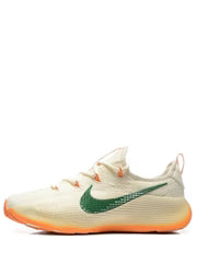 Nikee Lebron TR1 Honors Famu 909 - 2
