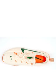 Nikee Lebron TR1 Honors Famu 909 - 4