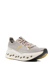 OnCloudsurfer Max Cinder Pelican 346 - 2