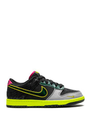 Nike Dunk Low What The Duck University Of Oregon Home