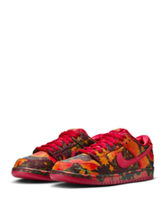 Nikee sb dunk low the wizard of oz poppy field