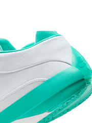 Air Jordan 40 guo ailun