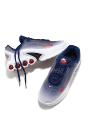 Nike Air Max Dn Olympic Team USA