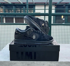Nik dunk low ducks of the feather university of oregon