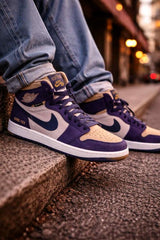 Nikee Air Jordan Element Gore Tex SkyJ Purple