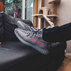 Adida_s Yeezy boost 350 v3 beluga