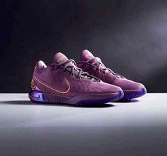 nikee Lebron 21 PURPLE Rain