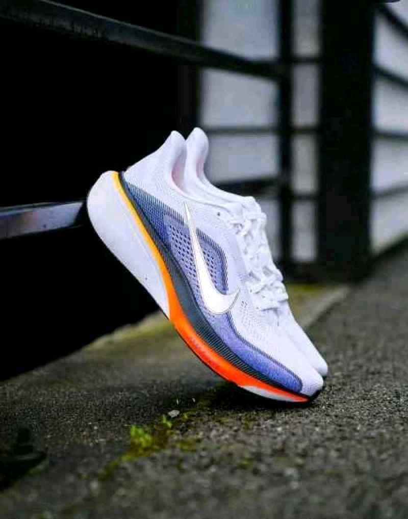 Niikee Pegasus 42 734