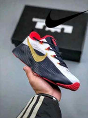 Nikee LeBron Royalty TR 1 Team USA