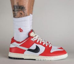 nikkee SB dunk chicago split