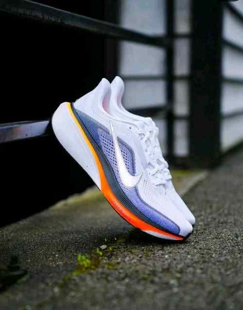 Niikee Pegasus 42 734